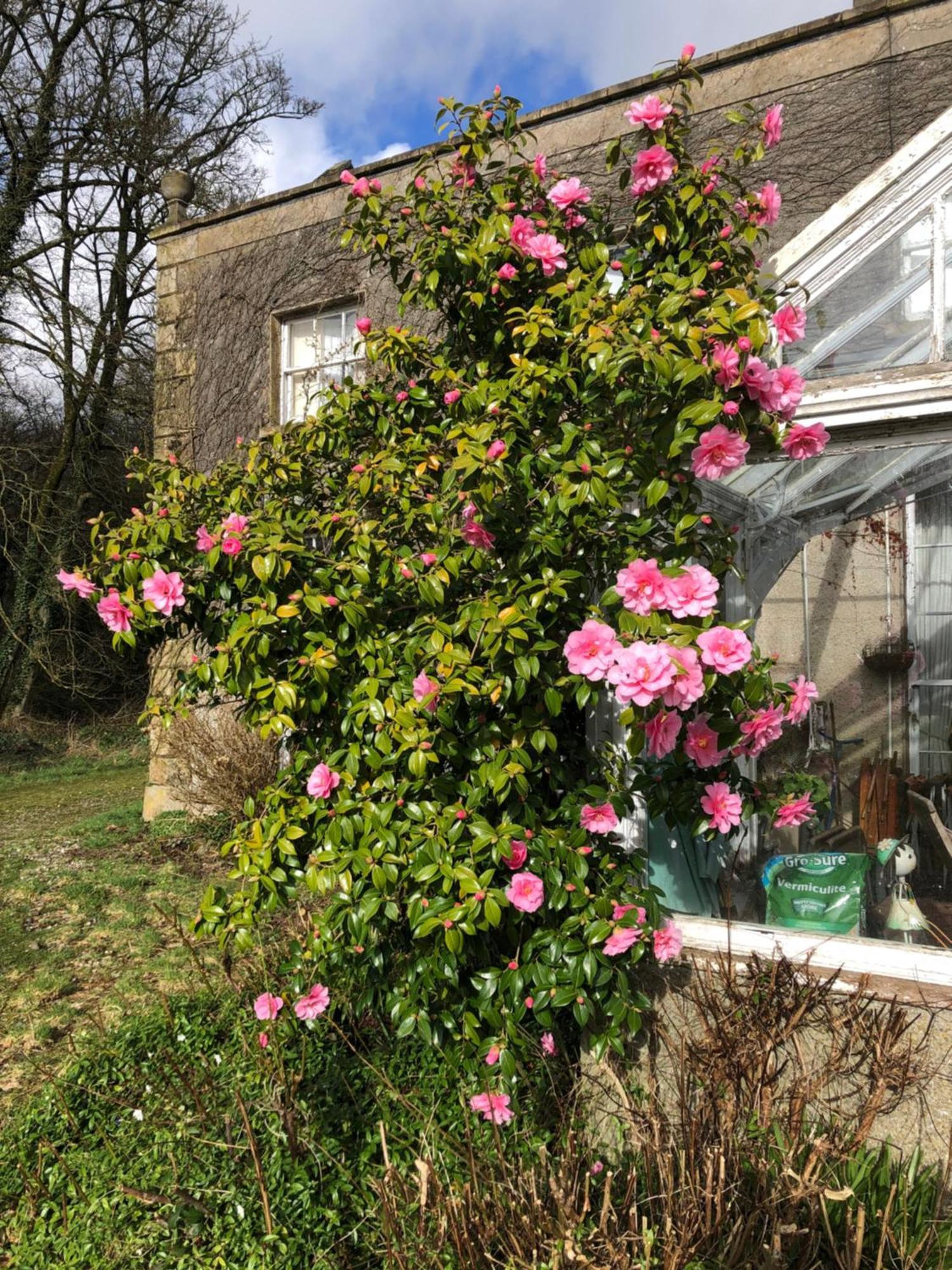 O'Harabrook Country House Ballymoney Exterior foto